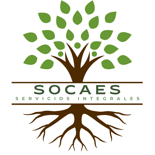 icono
